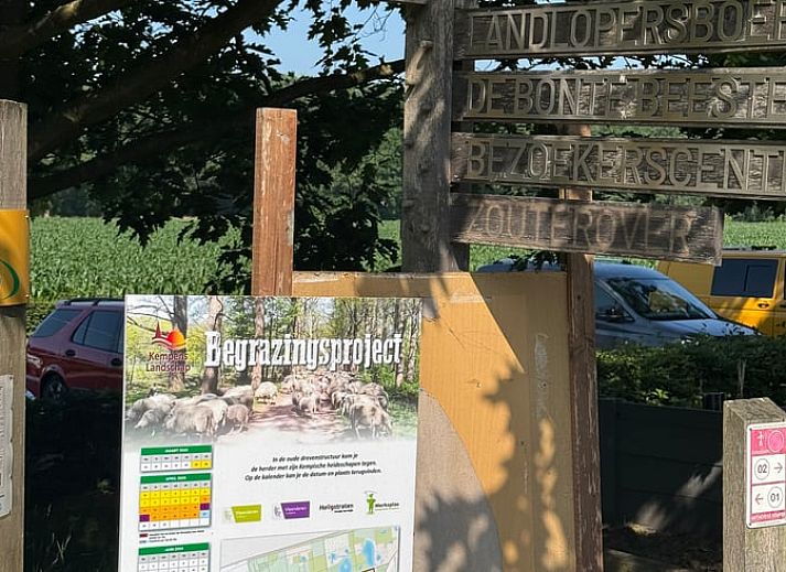 Modern bathroom in Holiday Home in Merksplas, Antwerp, with stylish sink and toilet, ideal for a comfortable stay in Belgium.