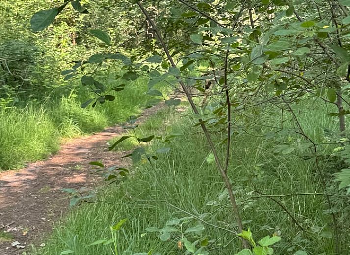 Modern bathroom in Holiday Home in Merksplas, Antwerp, with stylish sink and toilet, ideal for a comfortable stay in Belgium.