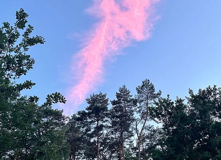 Zijaanzicht van Vakantiehuis in Gierle, gelegen in de natuur van Antwerpen, Belgie met houten omheining en terras.