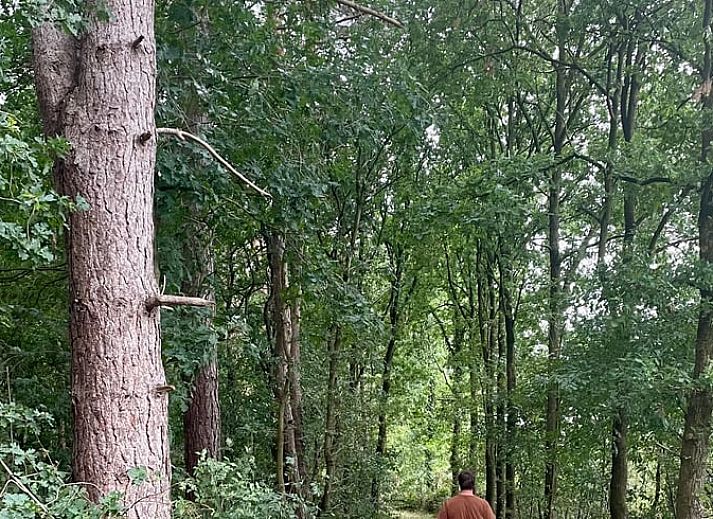 Zijaanzicht van Vakantiehuis in Gierle, gelegen in de natuur van Antwerpen, Belgie met houten omheining en terras.
