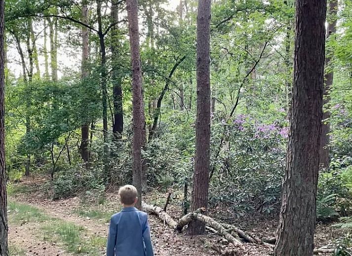 Zijaanzicht van Vakantiehuis in Gierle, gelegen in de natuur van Antwerpen, Belgie met houten omheining en terras.