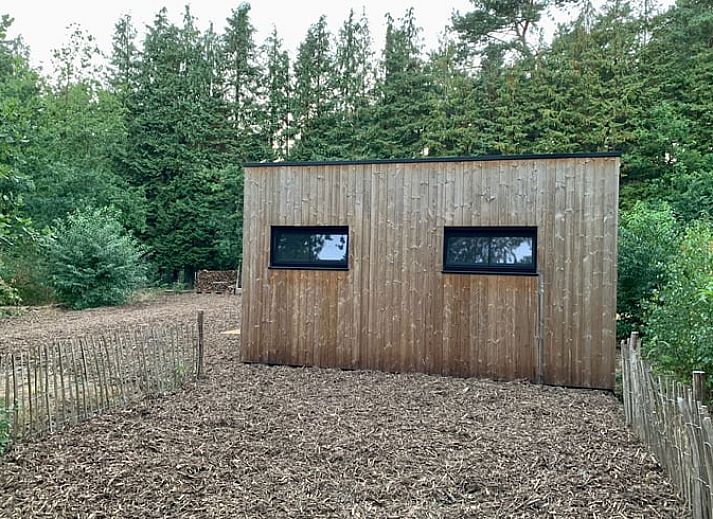 Uitzicht vanuit de woonkamer van Vakantiehuis in Gierle, vakantiehuis in Antwerpen, Belgie met terras en groen uitzicht.