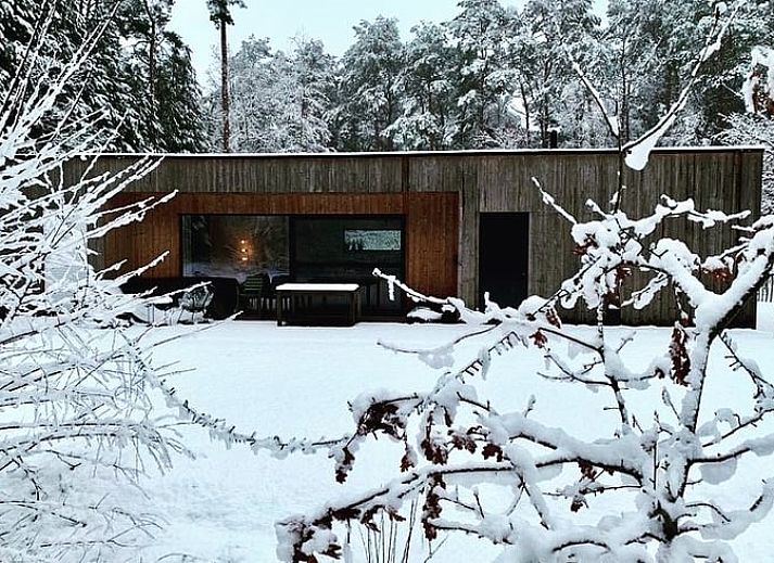 Uitzicht vanuit de woonkamer van Vakantiehuis in Gierle, vakantiehuis in Antwerpen, Belgie met terras en groen uitzicht.
