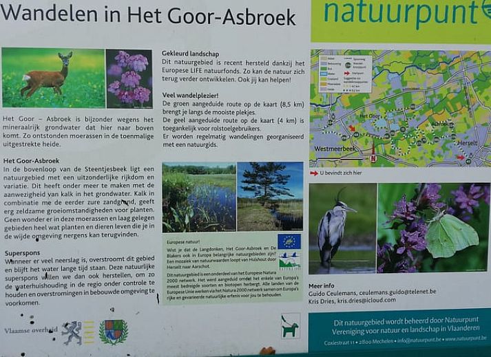 Modern kitchen in Holiday home in Hulshout, Antwerp, ideal for a relaxing stay in Belgium.