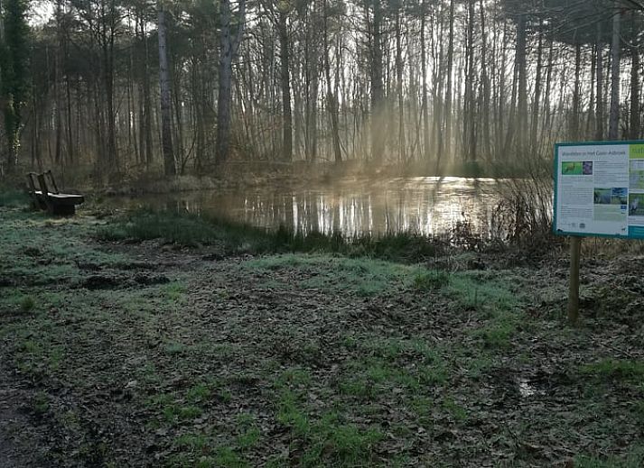 Guest house 0411002 - Holiday property Antwerp - Vakantiehuis in Hulshout