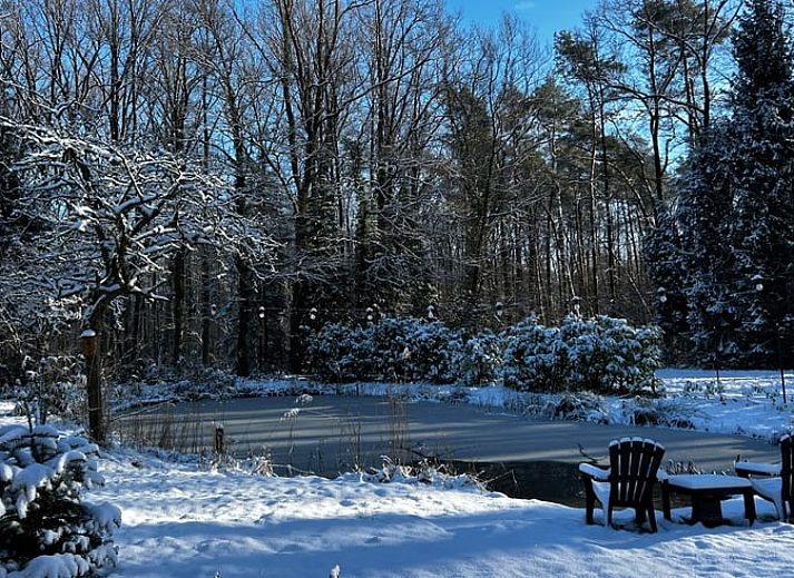 Rustiek vakantiehuis Huisje in Westmeerbeek omgeven door bos in Antwerpen, Belgie.
