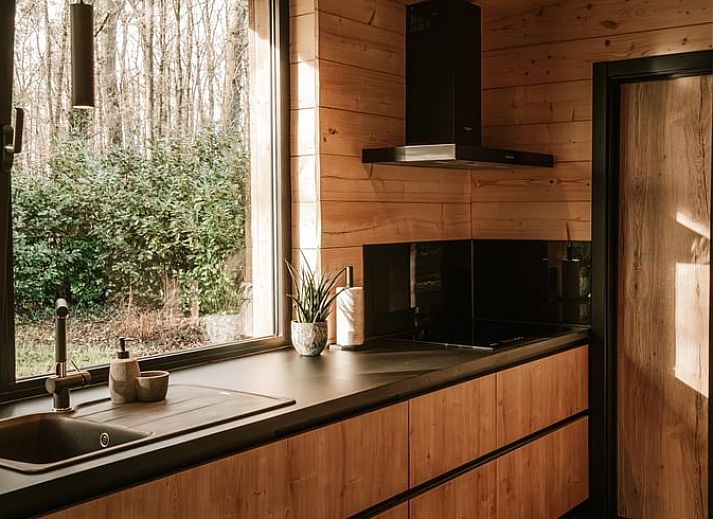 Serene vijver met vissen bij Huisje in Westmeerbeek, vakantiehuis in Antwerpen, Belgie.