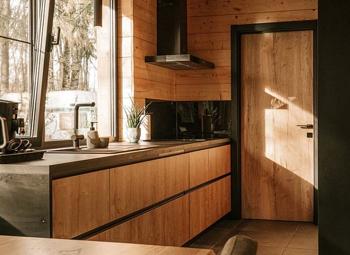 Serene vijver met vissen bij Huisje in Westmeerbeek, vakantiehuis in Antwerpen, Belgie.