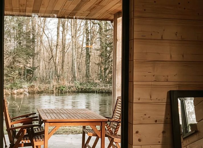 Bosrijke omgeving rond Huisje in Westmeerbeek, vakantiehuis in Antwerpen, Belgie.