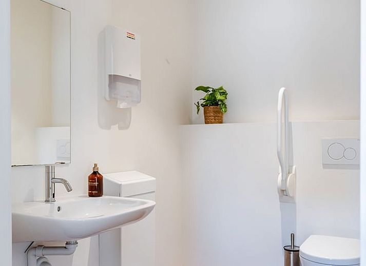 Guest house 0411602 - Holiday property Antwerp - Vakantiehuis in Tongerlo