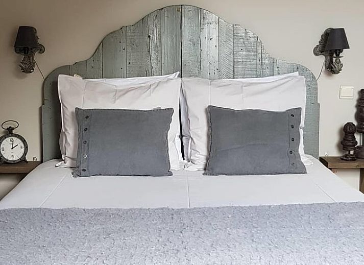 Guest house 0412201 • Holiday property Antwerp • Natuurhuisje in Minderhout