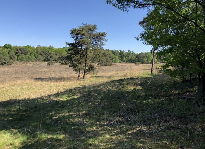Stijlvolle slaapkamer met tweepersoonsbed in B&B 't Mjeels Pierke, Meerle, Antwerpen.