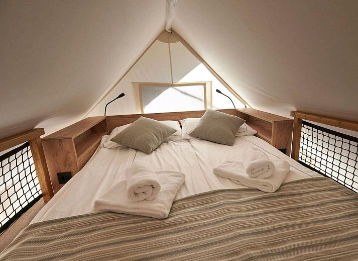 Guest house 0417101 - Holiday property Antwerp - 781542