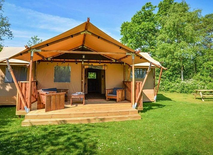 Binnenruimte van tenthuis Silver in Mol, Antwerpen, met houten interieur en uitzicht op groene natuur.