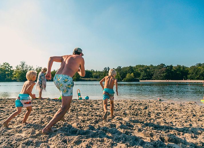 Binnenruimte van tenthuis Silver in Mol, Antwerpen, met houten interieur en uitzicht op groene natuur.