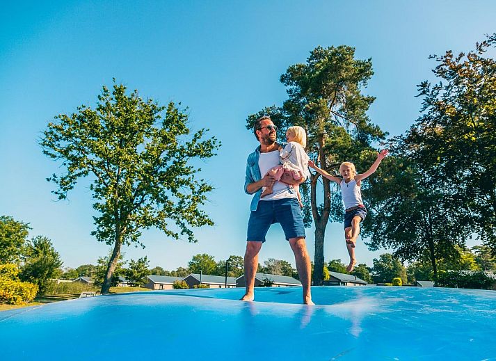 Binnenruimte van tenthuis Silver in Mol, Antwerpen, met houten interieur en uitzicht op groene natuur.
