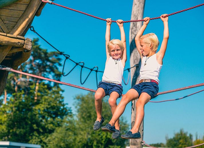 Binnenruimte van tenthuis Silver in Mol, Antwerpen, met houten interieur en uitzicht op groene natuur.