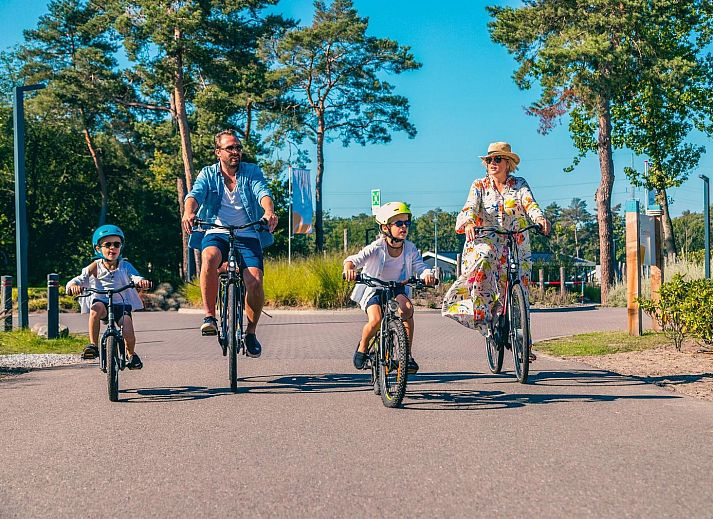 Binnenruimte van tenthuis Silver in Mol, Antwerpen, met houten interieur en uitzicht op groene natuur.