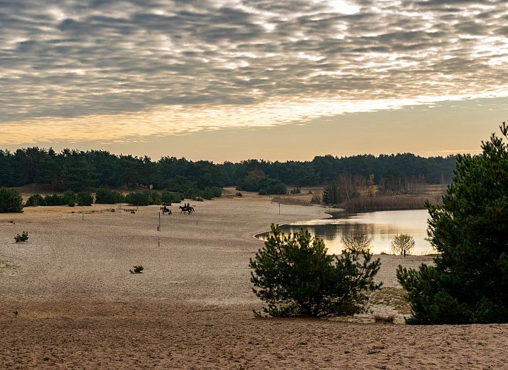 Guest house 041781 - Holiday property Antwerp - EuroParcs Zilverstrand