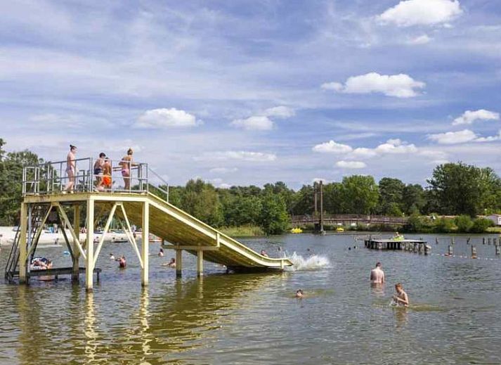 Guest house 041783 - Holiday property Antwerp - Vakantiehuis Glampingtent Kiezel Lodge XL 6