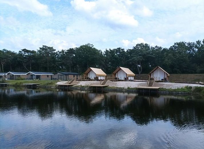 Guest house 041783 - Holiday property Antwerp - Vakantiehuis Glampingtent Kiezel Lodge XL 6
