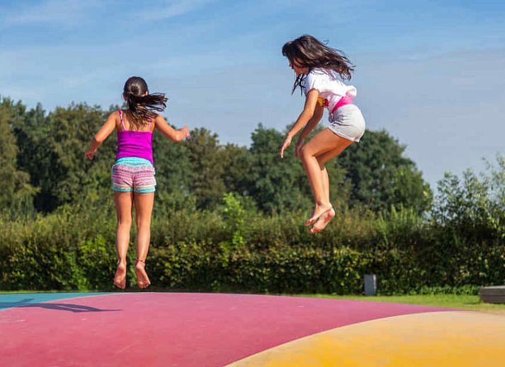 Guest house 041783 - Holiday property Antwerp - Vakantiehuis Glampingtent Kiezel Lodge XL 6