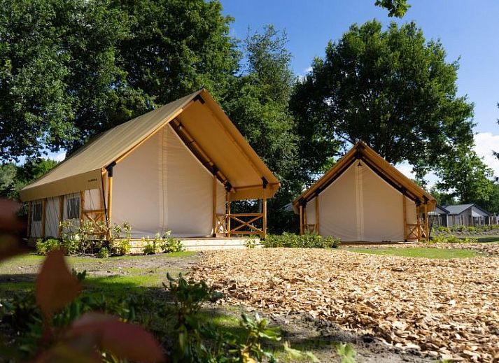 Unterkunft 041784 • Ferienhaus Antwerpen • Vakantiehuis Glampingtent Kiezel Lodge XL 6 