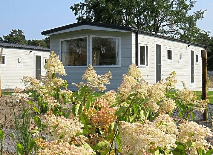 Guest house 041791 - Holiday property Antwerp - 781844