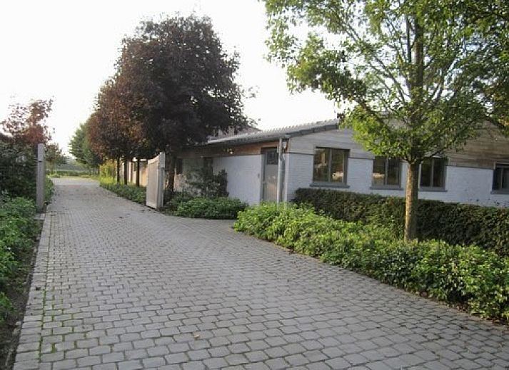 Guest house 041906 - Holiday property Antwerp - Vakantiehuis De Wildeman