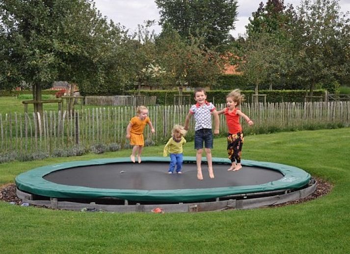 Guest house 041906 - Holiday property Antwerp - Vakantiehuis De Wildeman