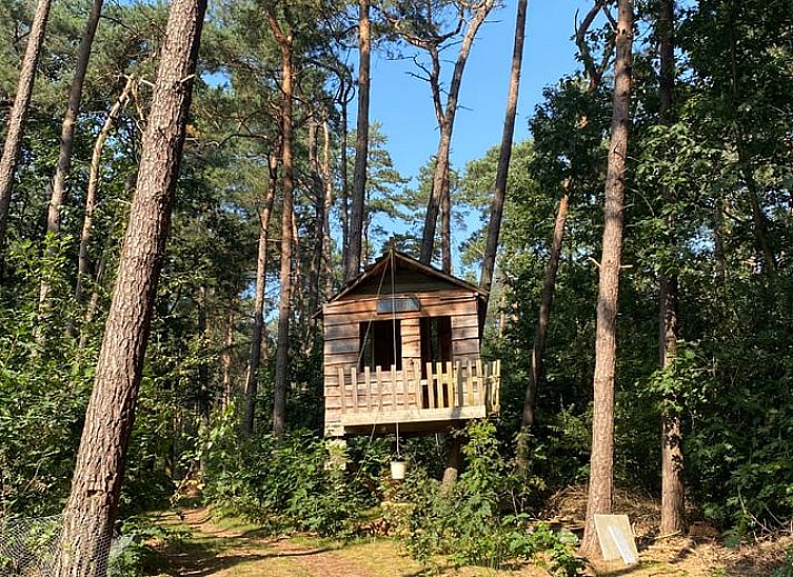 Guest house 041914 - Holiday property Antwerp - Vakantiehuis in Retie