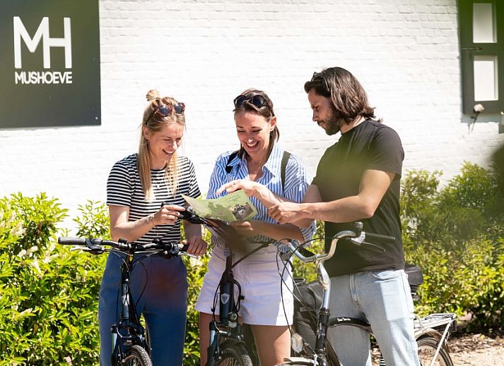 Mushoeve-Ferienhaus in Zoersel, Antwerpen mit gemuetlicher Sitzecke auf der Terrasse und gruenem Garten.