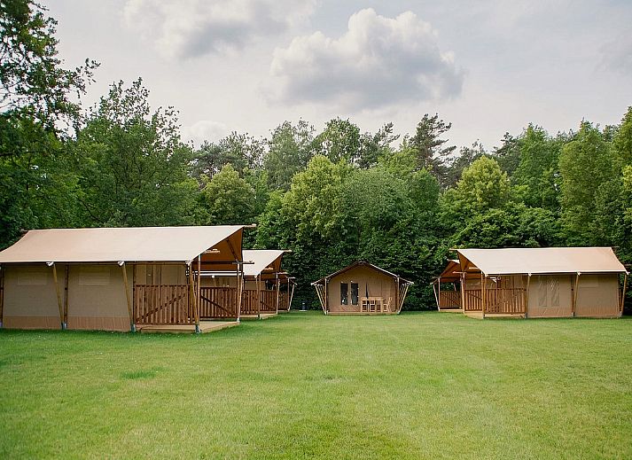 Guest house 042412 - Apartment Antwerp - Safari tent for 5 person