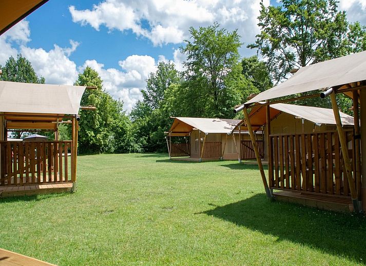 Guest house 042412 - Apartment Antwerp - Safari tent for 5 person