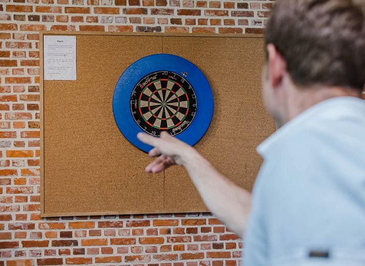 Vast playing field at Driehoekshoeve vacation home in Kasterlee, Antwerp for sports and games.