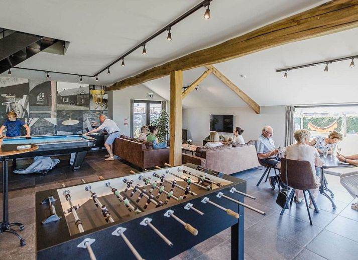 Vast playing field at Driehoekshoeve vacation home in Kasterlee, Antwerp for sports and games.