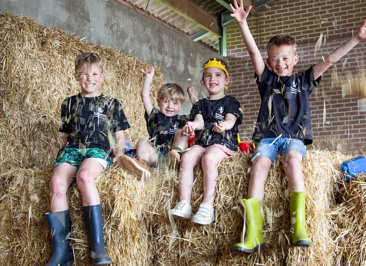 Modernes Interieur von De Drieshoeve, Ferienhaus in Kasterlee, Antwerpen, mit Esstisch aus Holz.