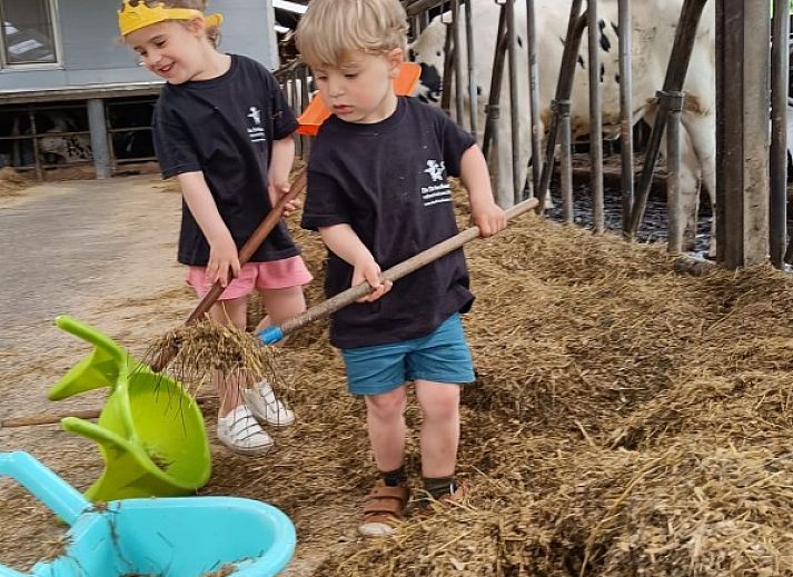 Modernes Interieur von De Drieshoeve, Ferienhaus in Kasterlee, Antwerpen, mit Esstisch aus Holz.