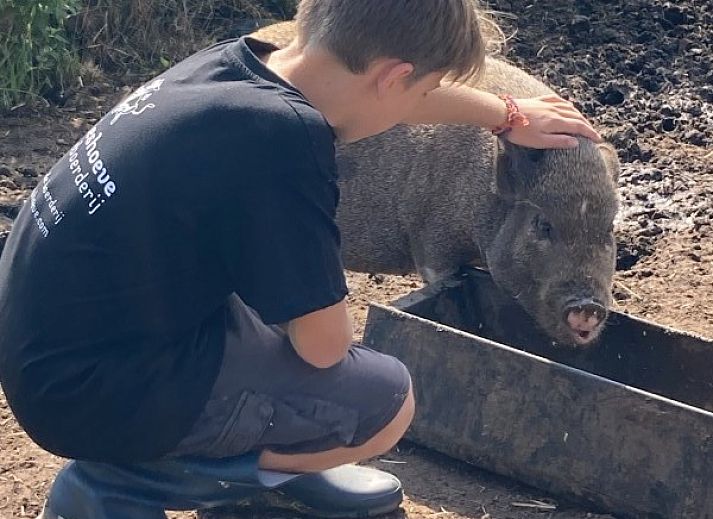 Modernes Interieur von De Drieshoeve, Ferienhaus in Kasterlee, Antwerpen, mit Esstisch aus Holz.