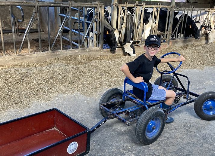 Gemuetliches Schlafzimmer mit Etagenbett in De Drieshoeve, Ferienhaus in Kasterlee, Antwerpen.