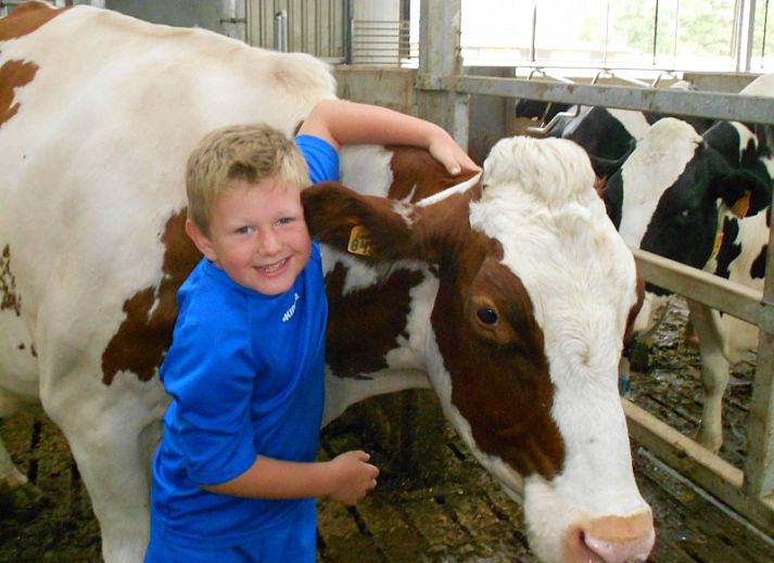 Komfortables Zweibettzimmer in De Drieshoeve, Ferienhaus in Kasterlee, Antwerpen.