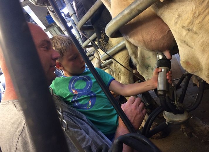 Komfortables Zweibettzimmer in De Drieshoeve, Ferienhaus in Kasterlee, Antwerpen.