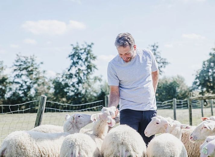 Gemuetliches Interieur des Huisje in Kasterlee, Antwerpen, mit einer niedlichen Regaldekoration auf einer orangefarbenen Bank.