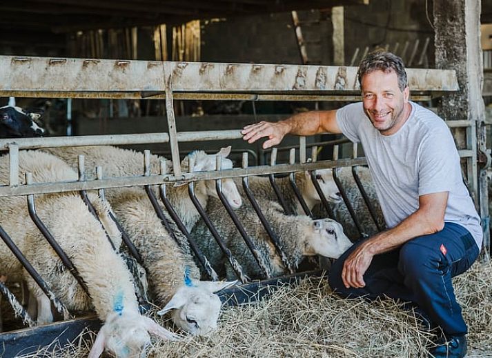 Geniessen Sie die ruhige Umgebung im Huisje in Kasterlee, einem Ferienhaus in Kasterlee, Antwerpen, mit einer grossen Terrasse und einer schoenen Aussicht ins Gruene.
