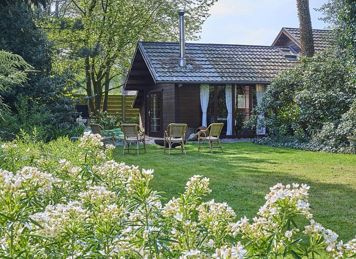 Guest house 042629 - Chalet Antwerp - Chalet Zee van tijd