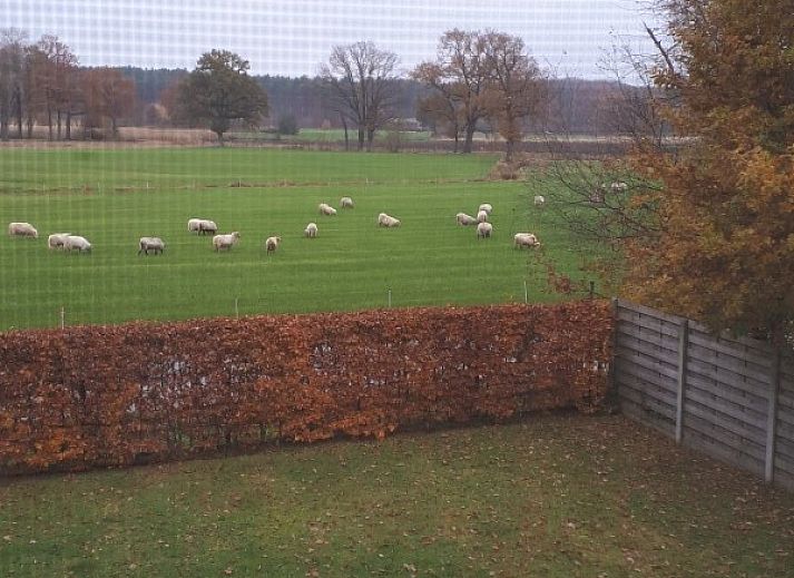 Unterkunft 043005 - Ferienhaus Antwerpen - Hertberg Lodge