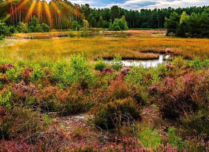Unterkunft 043005 - Ferienhaus Antwerpen - Hertberg Lodge