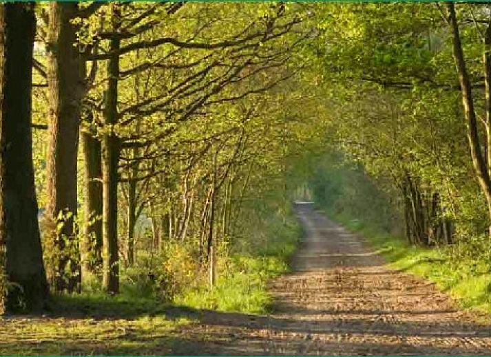 Unterkunft 043005 - Ferienhaus Antwerpen - Hertberg Lodge