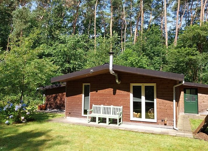 Ferienhaus in Herselt, umgeben von ueppiger Natur in Antwerpen, Belgien, mit einer einladenden Terrasse.
