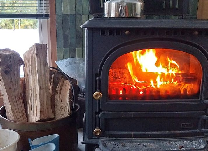 Ferienhaus in Herselt, umgeben von ueppiger Natur in Antwerpen, Belgien, mit einer einladenden Terrasse.